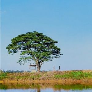 Meet your Posher, Be